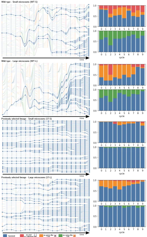 Figure 4.6: Experimental collective-level genealogies. The collective-level selection experiment yields a rich data set of 48 parallel microcosms (the collectives) with associated extinction (colours) and replacement events (edges)