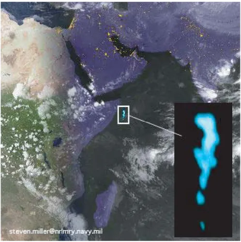 Figure 1.3: Bioluminescence chez les bactéries