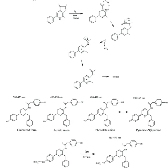 Figure 1.12: Espèces émettrices