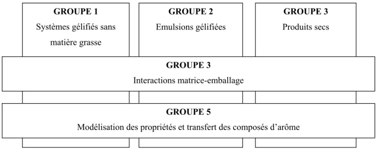 Figure 1 : Représentation schématique des groupes de travail du réseau technologique 