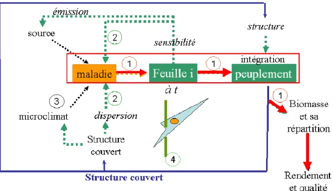 Figure 0: Modèle conceptuel des relations entre plante-hôte et agents pathogènes 