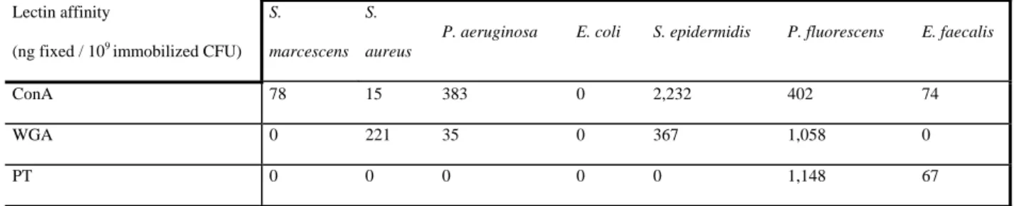 Table III. Affinity of the three lectins for the panel of bacterial strains. Results are the median of 3 independent repetitions