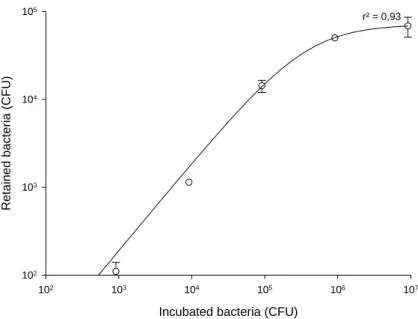 Figure 7. Plot of the retained bacteria vs. the number of bacteria in the initial 5mL of buffer for Bacillus cereus