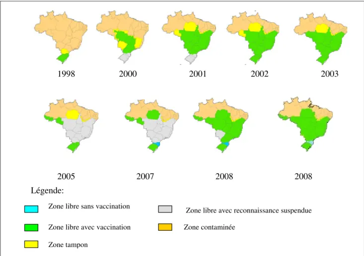 Figure 5. Évolution  géographique  du  processus  de  mise  en  place  d'une  zone  sans  fièvre  aphteuse  au  Brésil