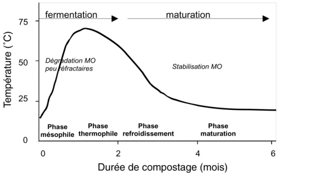 Figure 1.1 : Courbe théorique d’évolution de la température au cours du compostage. 