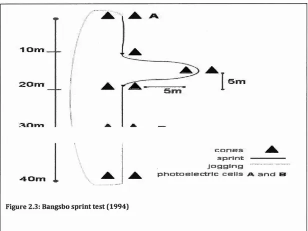 Figure 2.3:  Bangsbo sprint test (1994) 