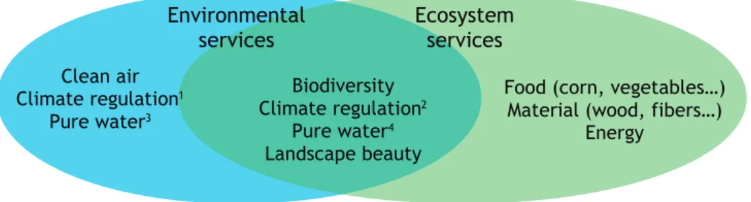 Figure 1.1: Intersection of the sets of environmental and ecosystem services Ecosystem services are not necessarily environmental services (and conversely)