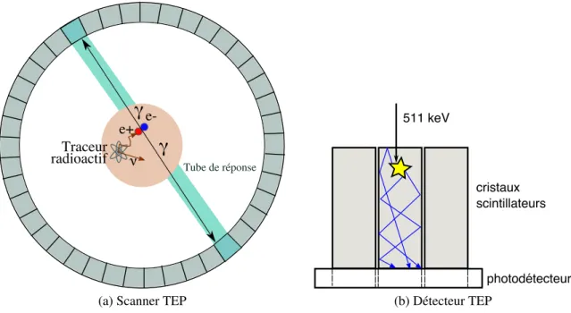 Figure 2.1 – Schéma explicatif d’un scanner TEP et de son détecteur.