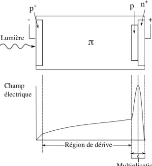 Figure 2.19 – Schéma de la configuration et du champ électrique d’une PDA reach- reach-through, inspiré de (Knoll, 2000).
