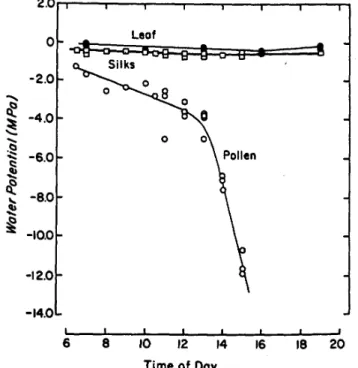 Figure I-4. Potentiel hydrique des feuilles (leaf), des soies (silks), et du pollen en fonction de l'heure de la