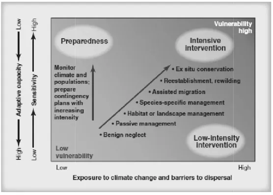Figure 1.22 : exemples de mesures de 