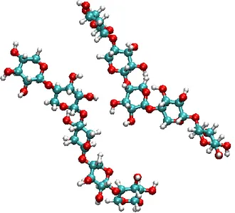 Figure II-3 Modèle atomistique de l’interaction de deux chaînes moléculaires de xylane de DP = 5