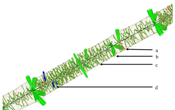 Figure 11 : Représentation en 3D d’un billon de sapin pectiné (Picea abies) avec en rouge (a) la trace  d’un bourgeon primaire, en vert clair (b) la trace d’une branche séquentielle, en vert foncé (c) la trace  d’une aiguille persistante et en bleu (d) la 