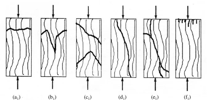 Figure I-15. Exemples de morphologie des faciès de rupture en compression du bois  (Pluvinage, 1992)