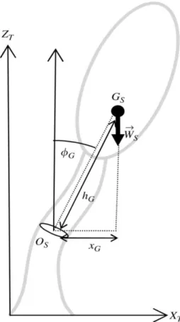 Figure  I.  9.  Représentation  schématique  de  la  flexion  supportée  par  une  section  transversale  de  tige  sous 