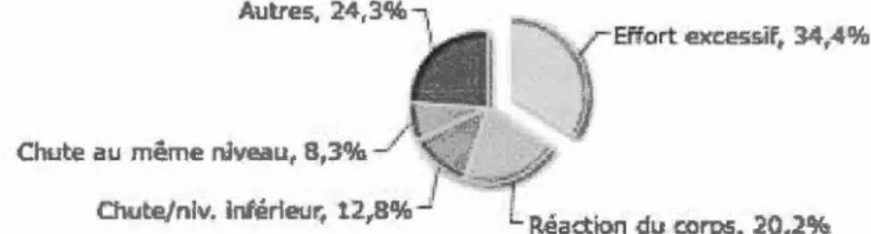 Figure 2:  Principaux  risques pour  les  préposés  à  l 'e ntretien  ména ge r  (CSST ,  2014) 