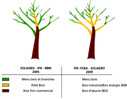Figure  I.4  :  Evolution  de  la  définition  des  compartiments  de  biomasse  par  l’ADEME  entre  2005  et  2009  (Landmann et al., 2009) 