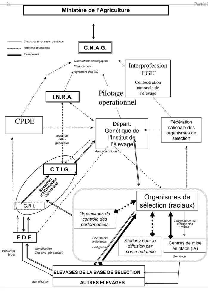 Figure 1.1 : L’organisation de l’amélioration génétique des animaux en France.  Encadré 1 : dispositif en vigueur jusqu’en 2006