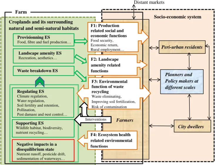 Fig. 3- 1. An integrated framework of multifunctionality and ecosystem services for peri-urban  agriculture