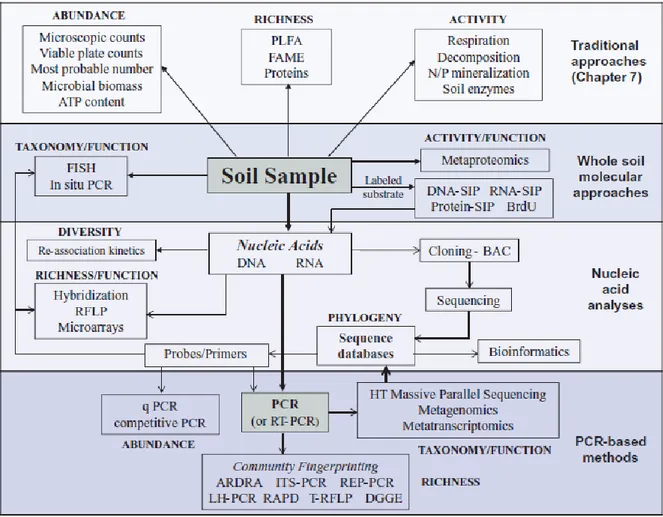 Figure 1 - Synthèse des méthodes de suivi des communautés microbiennes des sols. D'après Thies (2015) 