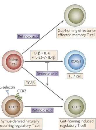 Figure  2:  In  addition  to  upregulating  the 