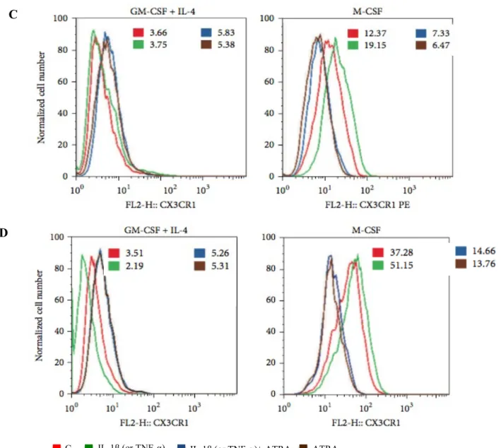 Figure  8:  ATRA  promotes  the  expression  of  CD103 +   cells  in  in  vitro  differentiated  myeloid  cells:  Monocytes  were differentiated in the presence of GM-CSF+IL4 or M-CSF, respectively