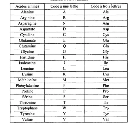 Tableau 1. Acide aminés  Acides aminés  Alanine  Arginine  Asparagine  Aspartate  Cysteine  Glutamate  Glutamine  Glycine  Histidine  Isoleucine  Leucine  Lysine  Methionine  Phenylalanine  Proline  Serine  Threonine  Tryptophane  Tyrosine  Valine 