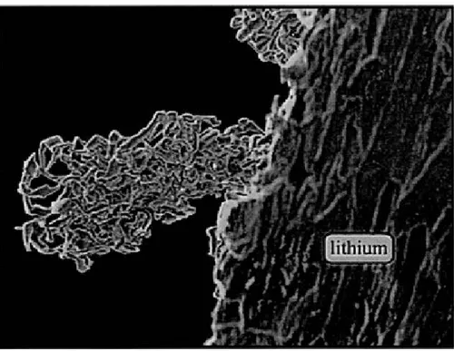 Figure 1.4  Une  image  de  microscope électronique  à  balayage montrant la  croissance 