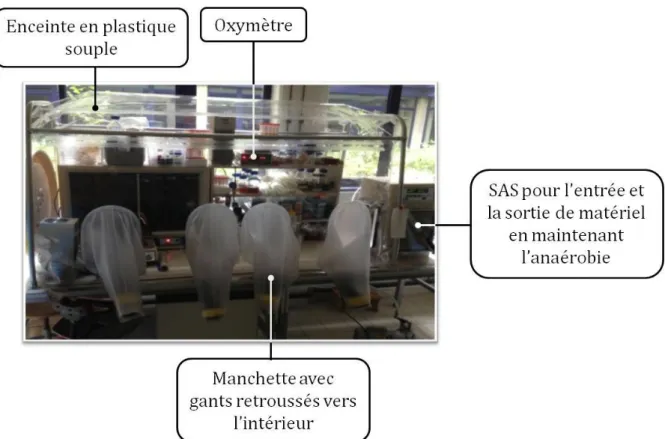 Figure  17 : Principaux composants permettant de maintenir l’anaérobie dans une chambre anaérobie aussi  appelée chambre de Freter 