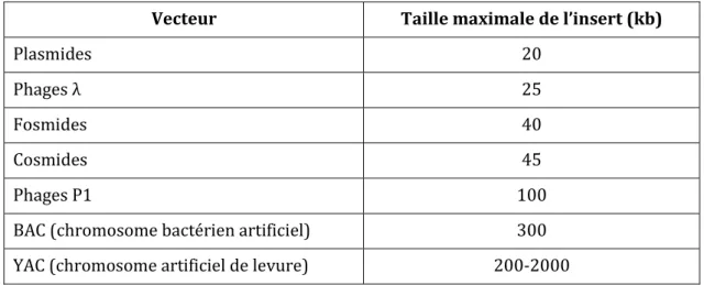 Tableau 8 : Taille possible de l’insert en fonction du type de vecteur 