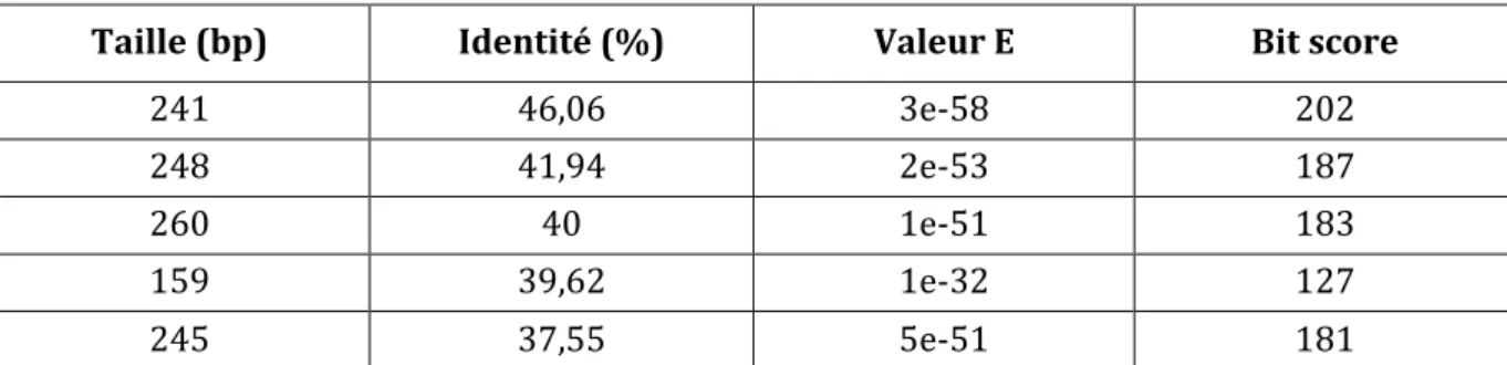 Tableau 4 : Les  5 séquences  de  Bacteroides sp. D8 possédant le pourcentage d’identité le plus élevé avec la  séquence BBPR_0519 