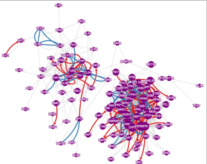 Fig. 2 Co-regulatory network representing the M3D data set. Nodes are TF and kinases, grey edges denote co-regulatory interactions discovered by
