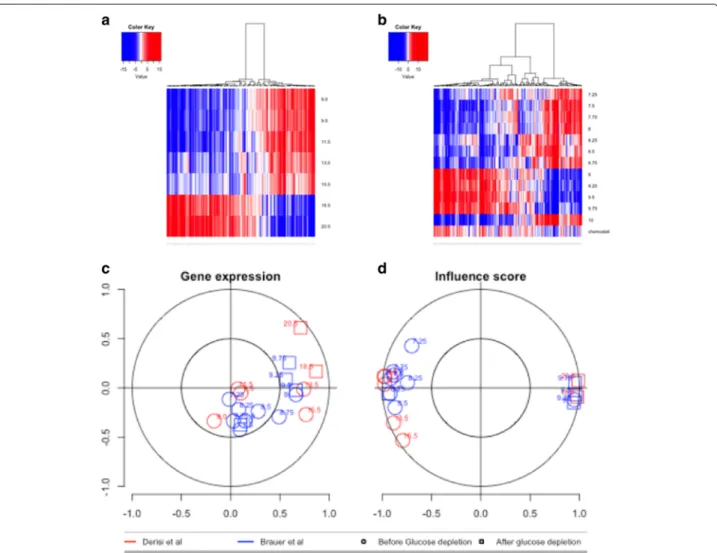 Fig. 5 In a, heatmap for influences for the data set of Derisi et al., in b, heatmap for the dataset of Brauer et al