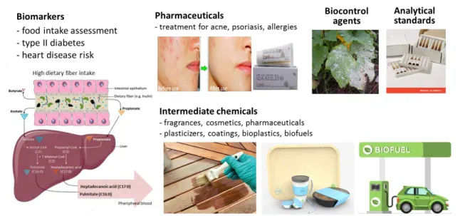 Figure 1.5. Applications of OCFAs in pharmaceutical, food, cosmetics, chemical  and fuel industries