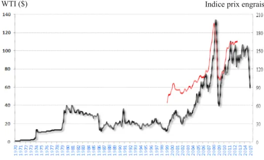 Figure 1. Cours du baril de pétrole (WTI) en dollars courant, moyennes mensuelles, source France-