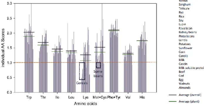 Figure 7.  Scores individuels en acides aminés (ratio entre la quantité d’un acide aminé 