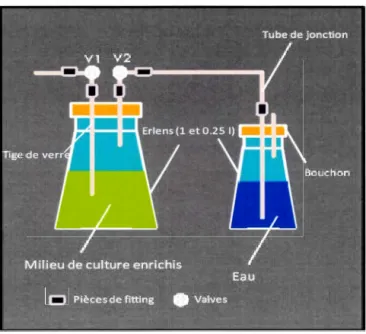 Figure 2.1  Schéma  du  système  de  culture  pour le  marquage des  algues ,  élaboré  par  Bertrand  Gernard 