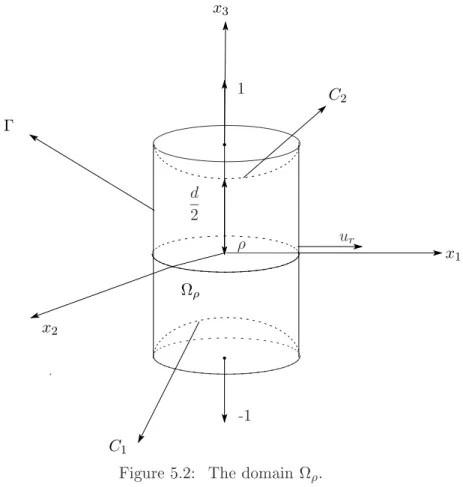Figure 5.2: The domain Ω ρ .
