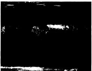 Figure 1.4 Interface béton-rocher provenant d'une carotte de forage du barrage Rapide-7  [Hydro-Québec, 2000] 