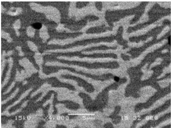 Figure 1.1: The microstructure of a steel alloy after quenching.