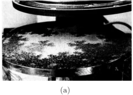 Figure 1.2: A localized vibration in a fractal drum from an experiment of Sapoval and co-workers [191].