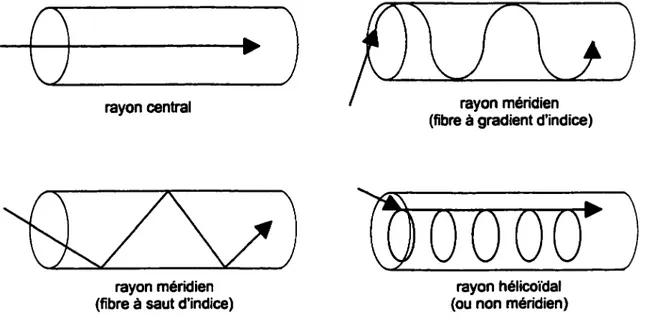 Figure  3.2  Différentes  trajectoires  de  rayons  lumineux  dans  le  coeur  d’une  fibre  optique  (d’après  Davies  &amp;   coll.,  1986)