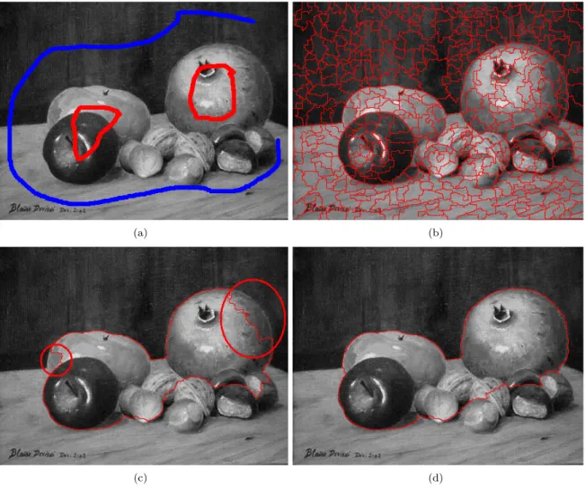 Figure 3.10: Natural image segmentation. (a) Original Image (480x360). (b) Markers. (c) Unsupervised watershed segmentation