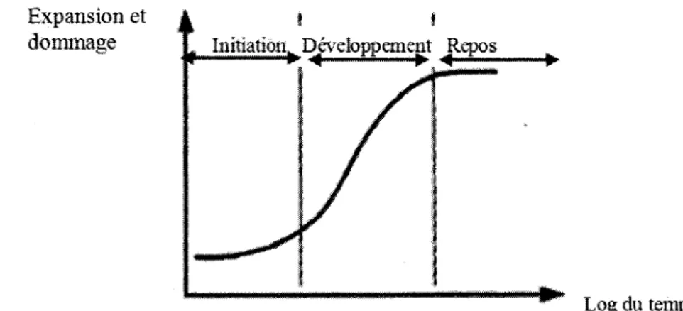 Figure 2.6 Courbe de gonflement observee dans le temps pour la RAS  (adaptee de Courtier, 1990 et de Nielsen et al., 1993) 