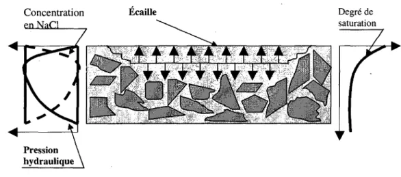 Figure 2.20 : Mecanisme de formation des &#34;ecailles&#34; selon la theorie des pressions  hydrauliques [Browne et Cady, 1975] 