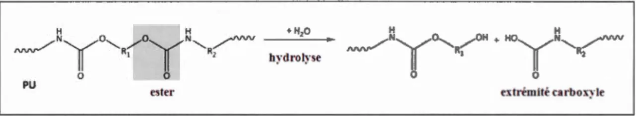 Figure 3 . 1 Hydrolyse de  la liaison d ' ester du polyuréthane (PU) (Gewert  et al. ,  2015) 