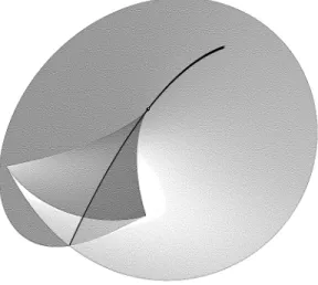 Figure 1.2: The ordinary swallowtail ∆ 2 ⊂ R 3