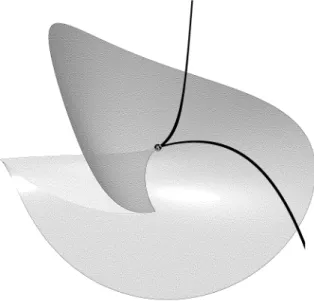 Figure 1.3: The front of the open swallowtail Theorem 1.15. Consider the open swallowtail Σ n ⊂ P 2n+1 .
