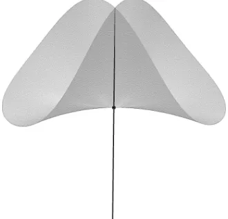 Figure 1.4: The ordinary Whitney umbrella in R 3
