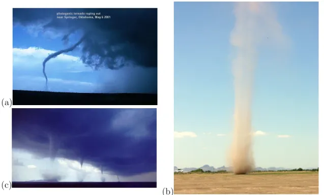 Figure 1.1: (a) Tornado roping out near Springer, Oklahoma, May 6 2001; (b) dust devil; (c) Photograph of waterspouts taken in August 1999 near the coast of Albania from the ferry boat ”Greece-Italy” by Roberto Giudici.